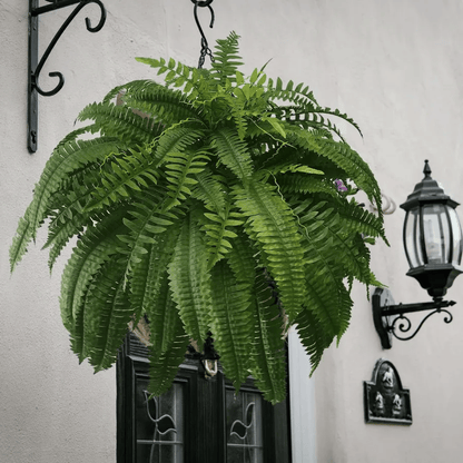 Last Day 75% OFF🌿UV Resistant Lifelike Artificial Boston Fern